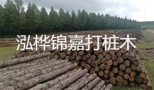 為何施工選用松木樁？