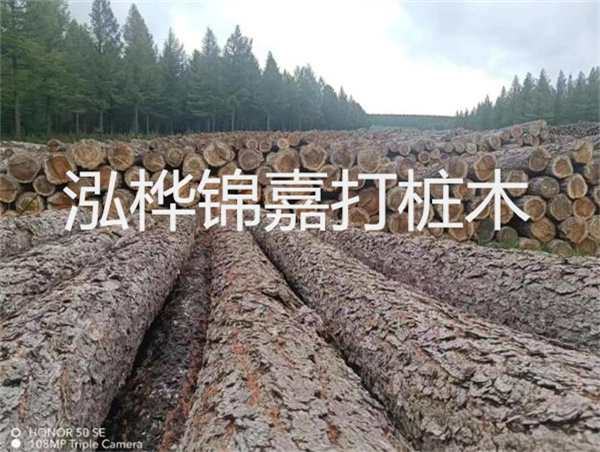 高效施工，圓松木樁助力建筑工程進(jìn)展順利