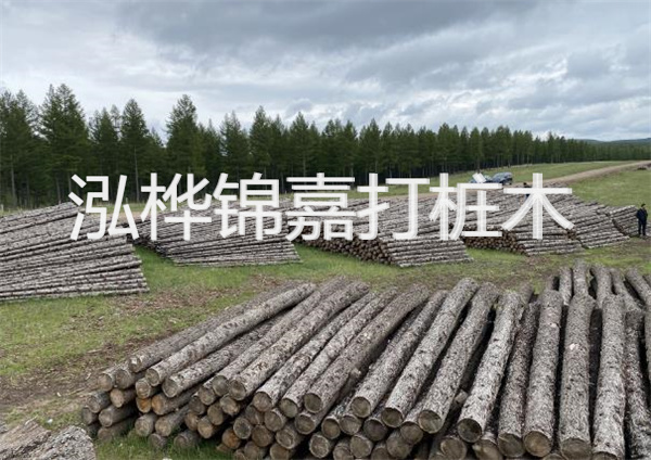 松木樁圍堰施工圖——保護(hù)水資源，保障工程安全