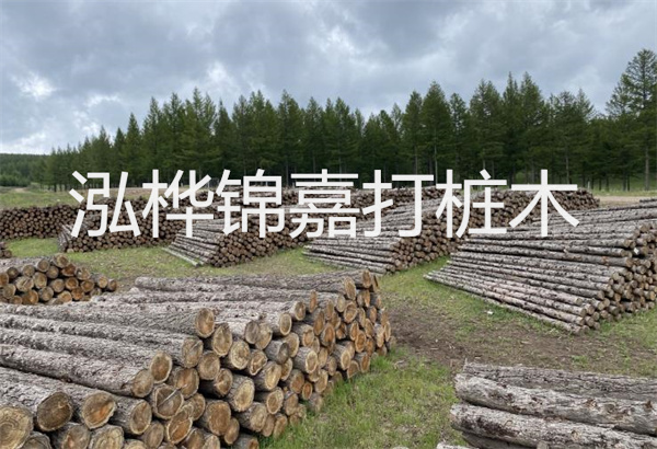松木樁圖紙施工講解，打造穩(wěn)固堅(jiān)實(shí)的建筑基礎(chǔ)