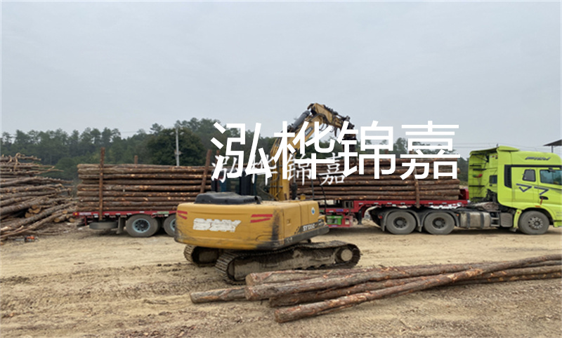 探秘河道松木樁施工工藝，保護水環(huán)境，守護家園