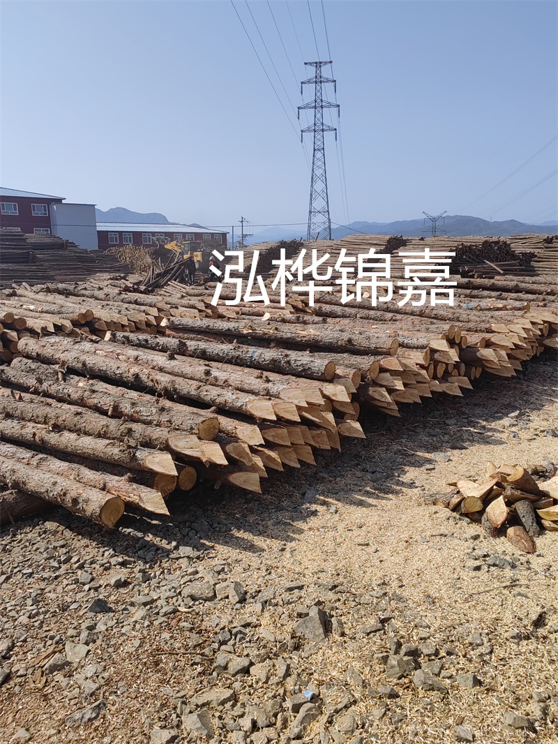 深入了解松木樁基礎施工單價，助力工程建設順利進行！