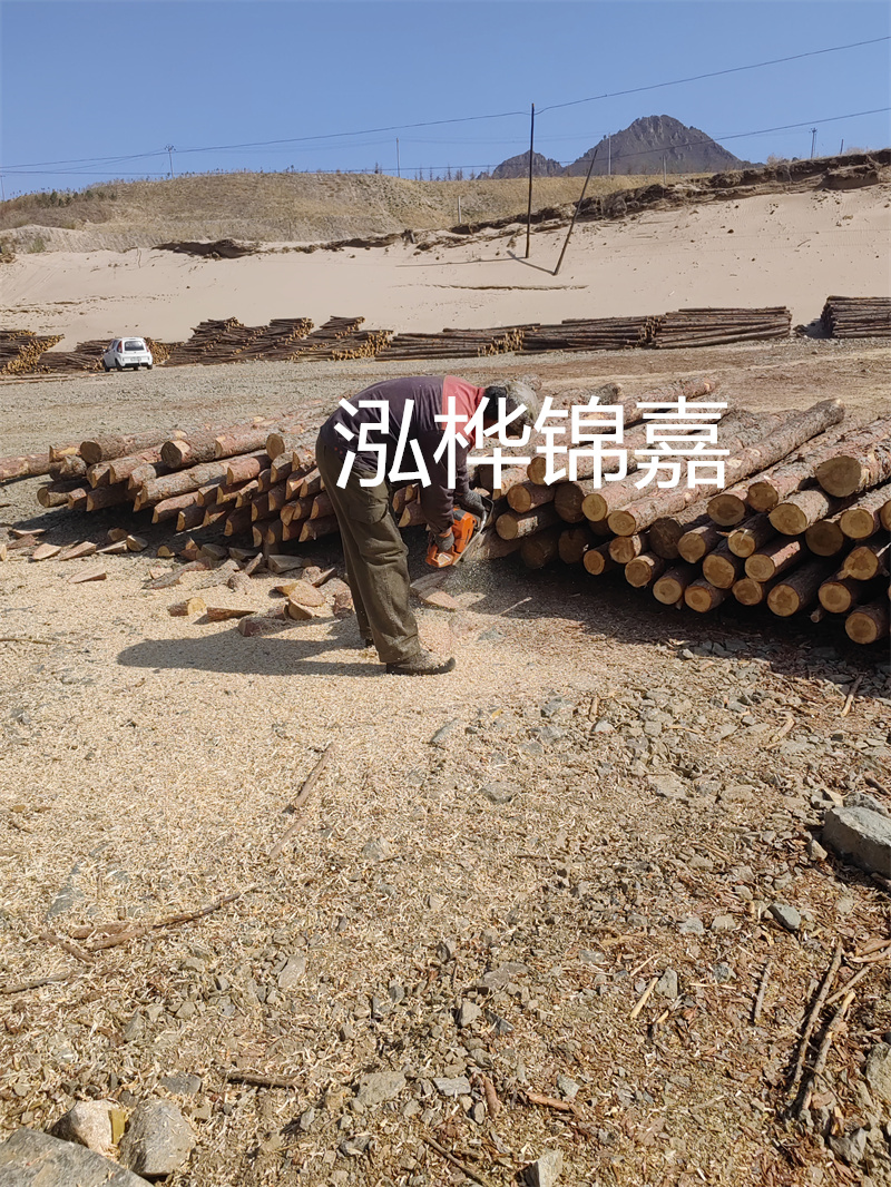 提高施工效率！松木樁施工匯總表助力工程管理