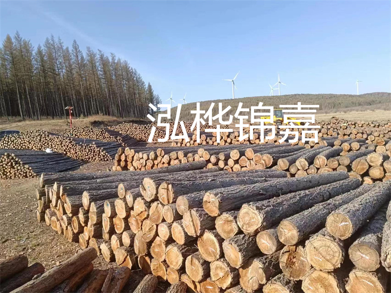 用路基松木樁施工方案提升工程質(zhì)量描述：了解路基松木樁施工方案的重要性，提高工程質(zhì)量關(guān)鍵詞：路基松木樁，施工方案，工程質(zhì)量