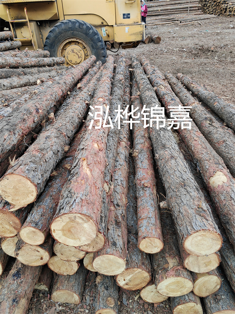 松木樁作為樁基施工平臺(tái)，穩(wěn)固可靠！